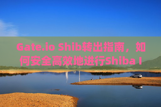 Gate.io Shib转出指南，如何安全高效地进行Shiba Inu代币转出 gate.ioshib转出