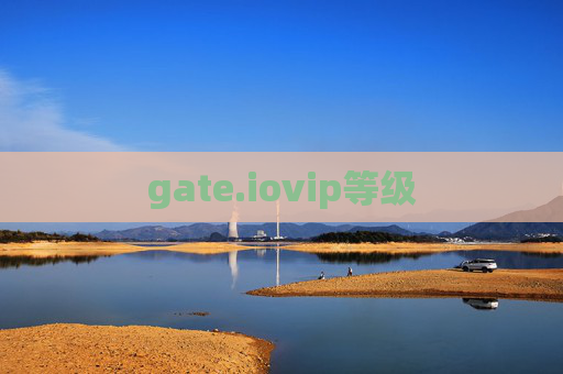 gate.iovip等级
