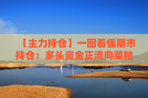 【主力持仓】一图看懂期市持仓：多头资金正流向菜粕、沪铝、低硫燃油等品种
