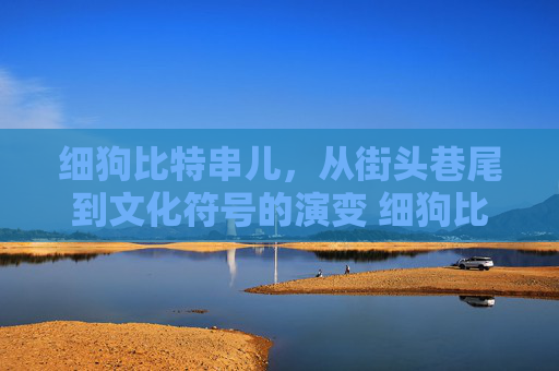 细狗比特串儿，从街头巷尾到文化符号的演变 细狗比特串儿