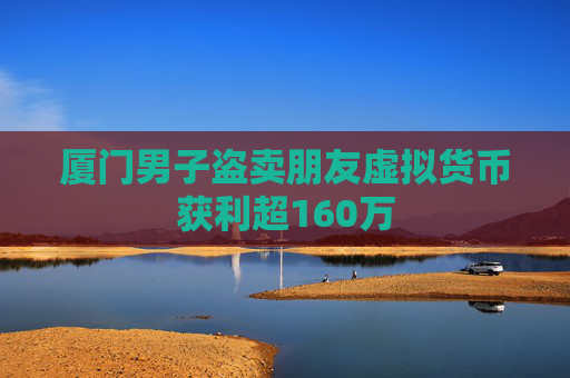 厦门男子盗卖朋友虚拟货币获利超160万