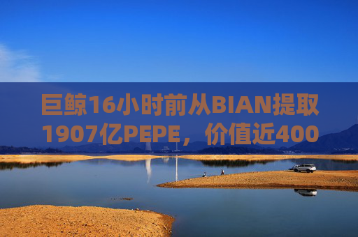 巨鲸16小时前从BIAN提取1907亿PEPE，价值近400万美元
