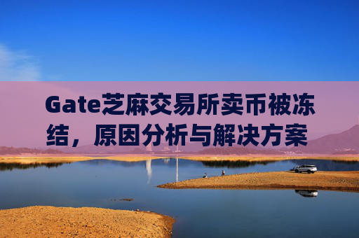 Gate芝麻交易所卖币被冻结，原因分析与解决方案 gate芝麻ex卖币被冻结