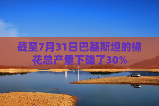 截至7月31日巴基斯坦的棉花总产量下降了30%