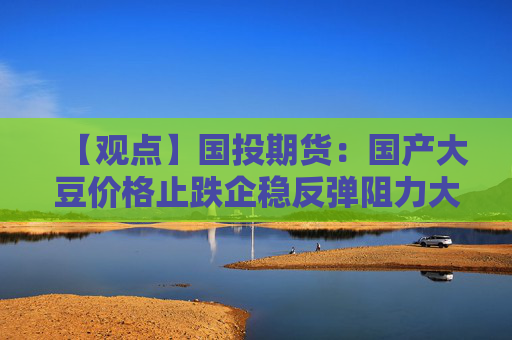 【观点】国投期货：国产大豆价格止跌企稳反弹阻力大