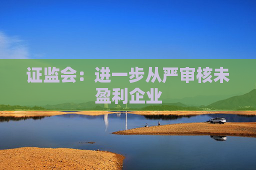 证监会：进一步从严审核未盈利企业