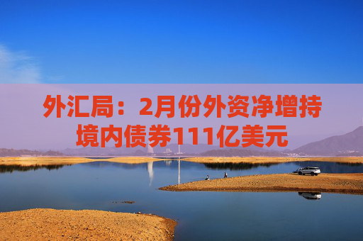 外汇局：2月份外资净增持境内债券111亿美元
