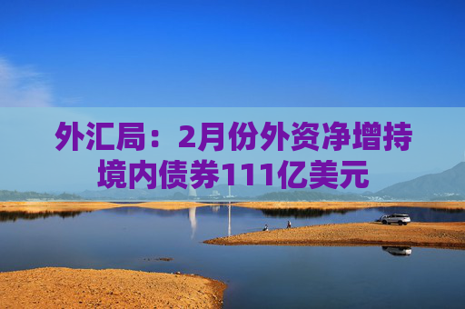 外汇局：2月份外资净增持境内债券111亿美元