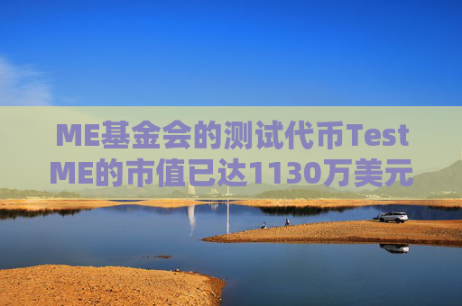 ME基金会的测试代币TestME的市值已达1130万美元