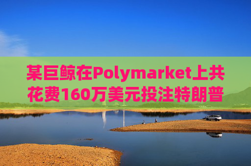 某巨鲸在Polymarket上共花费160万美元投注特朗普胜选和哈里斯败选