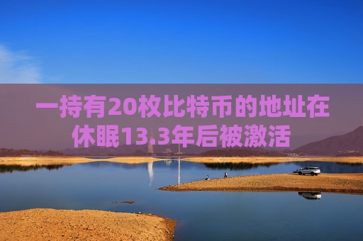 一持有20枚比特币的地址在休眠13.3年后被激活