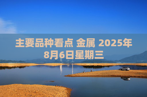 主要品种看点 金属 2025年8月6日星期三