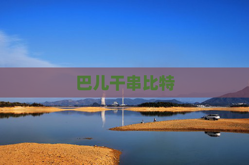 巴儿干串比特