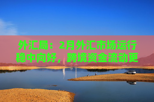 外汇局：2月外汇市场运行稳中向好，跨境资金流动更趋稳定