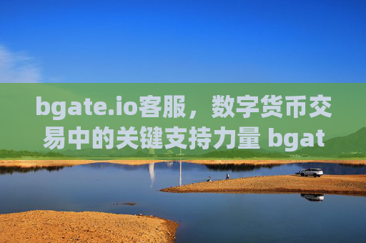 bgate.io客服，数字货币交易中的关键支持力量 bgate.io客服