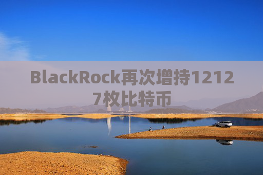 BlackRock再次增持12127枚比特币