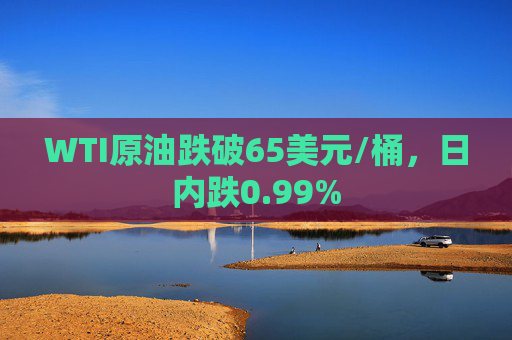 WTI原油跌破65美元/桶，日内跌0.99%
