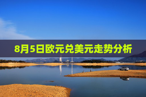 8月5日欧元兑美元走势分析