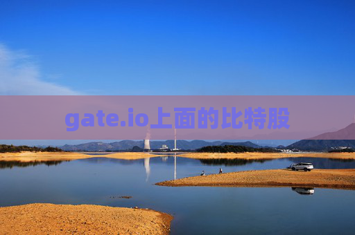 gate.io上面的比特股