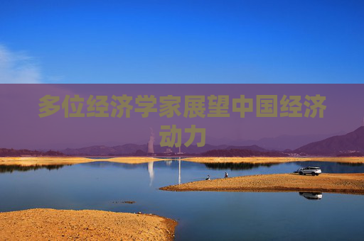 多位经济学家展望中国经济动力