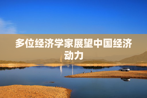 多位经济学家展望中国经济动力