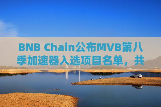BNB Chain公布MVB第八季加速器入选项目名单，共35个团队入围