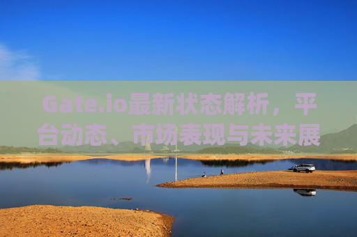 Gate.io最新状态解析，平台动态、市场表现与未来展望 gate.io最新状态