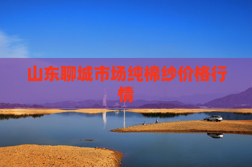 山东聊城市场纯棉纱价格行情