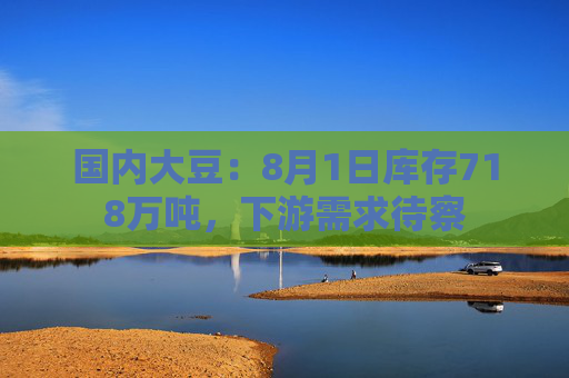 国内大豆：8月1日库存718万吨，下游需求待察