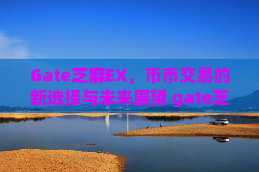 Gate芝麻EX，币币交易的新选择与未来展望 gate芝麻ex 币币交易