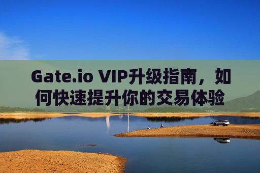 Gate.io VIP升级指南，如何快速提升你的交易体验