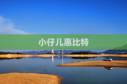 小仔儿惠比特