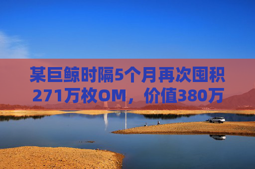 某巨鲸时隔5个月再次囤积271万枚OM，价值380万美元