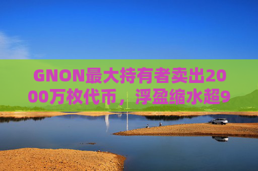 GNON最大持有者卖出2000万枚代币，浮盈缩水超95%