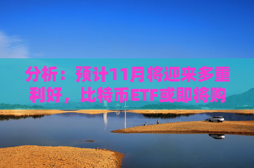 分析：预计11月将迎来多重利好，比特币ETF或即将购入其第100万枚比特币