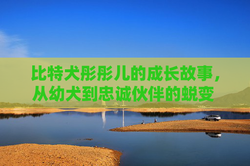 比特犬彤彤儿的成长故事，从幼犬到忠诚伙伴的蜕变 比特犬彤彤儿