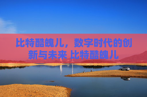 比特酷魄儿，数字时代的创新与未来 比特酷魄儿