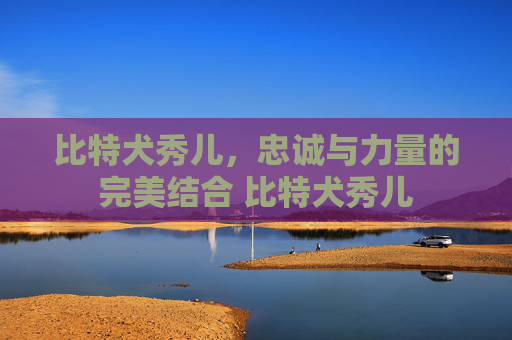 比特犬秀儿，忠诚与力量的完美结合 比特犬秀儿