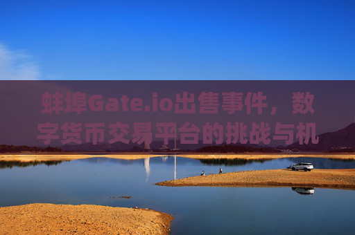 蚌埠Gate.io出售事件，数字货币交易平台的挑战与机遇 蚌埠gate.io出售