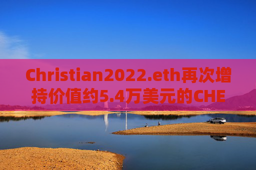 Christian2022.eth再次增持价值约5.4万美元的CHEEMS代币