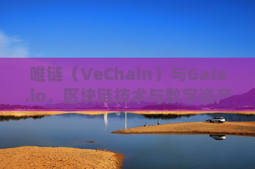 唯链（VeChain）与Gate.io，区块链技术与数字资产交易的完美结合 唯链gate.io