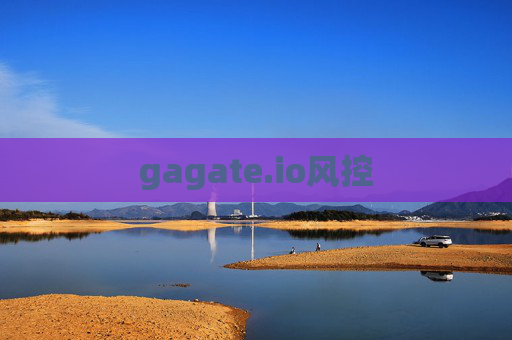 gagate.io风控