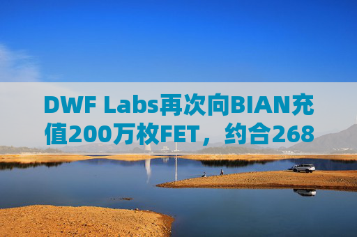 DWF Labs再次向BIAN充值200万枚FET，约合268万美元
