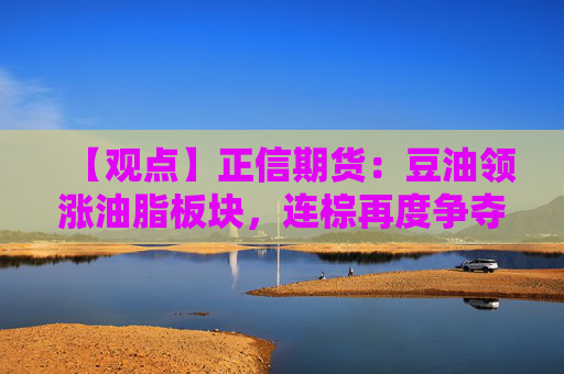 【观点】正信期货：豆油领涨油脂板块，连棕再度争夺9000关口
