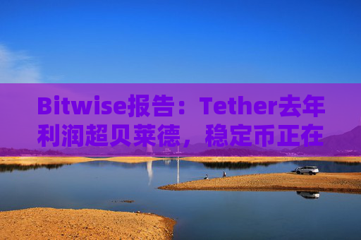 Bitwise报告：Tether去年利润超贝莱德，稳定币正在成为加密技术的重要应用