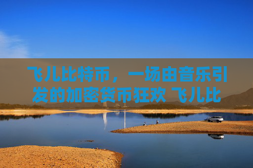 飞儿比特币，一场由音乐引发的加密货币狂欢 飞儿比特币