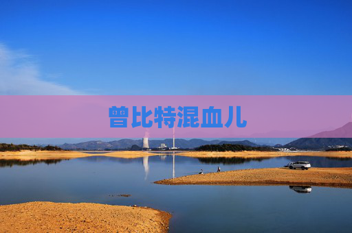 曾比特混血儿