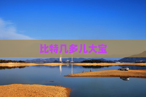 比特几多儿大宝