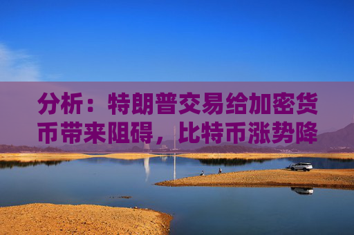 分析：特朗普交易给加密货币带来阻碍，比特币涨势降温