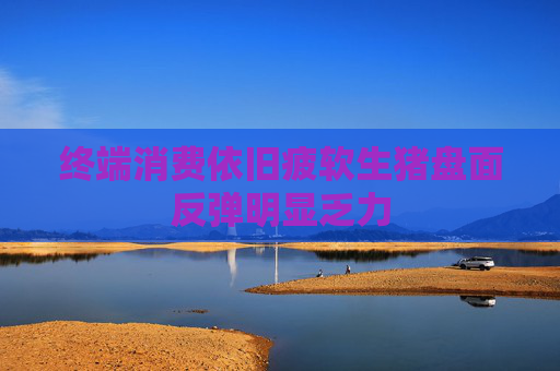 终端消费依旧疲软生猪盘面反弹明显乏力